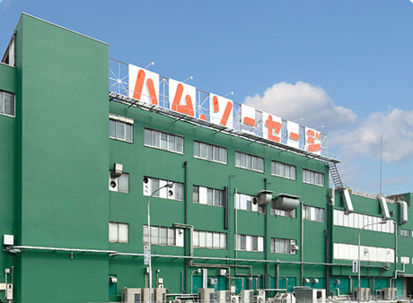 企業概要
