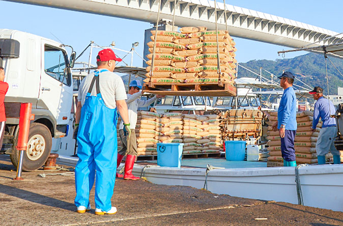 養魚用飼料の研究開発