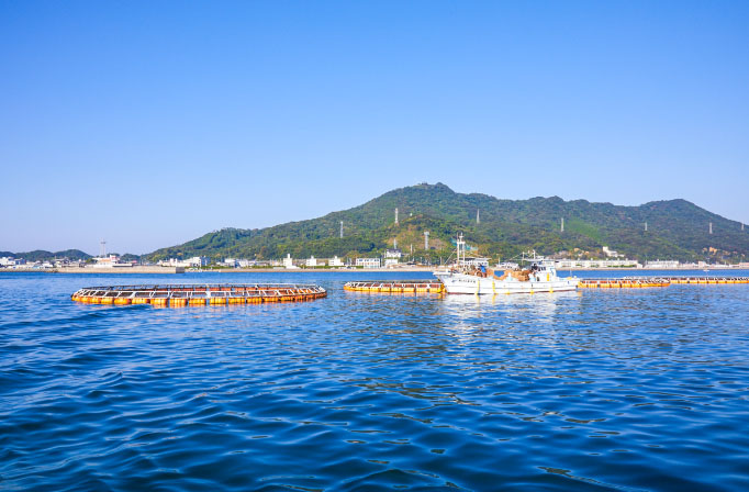 海の豊かさを守ろう