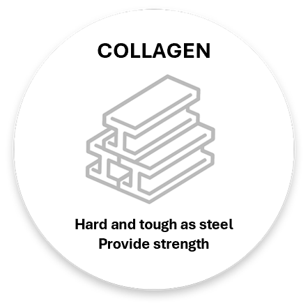 コラーゲンとの違いは?