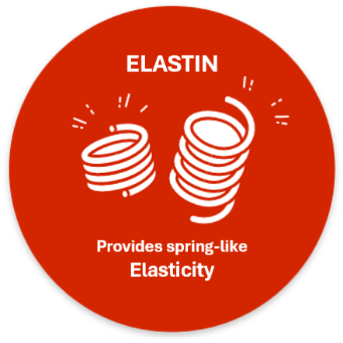 コラーゲンとの違いは?