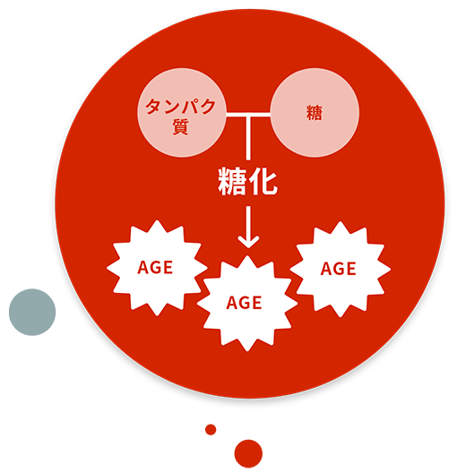 抗糖化活性って何?