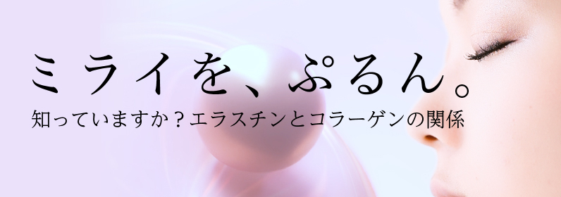 ミラを、ぷるん知っていますか？エラスチンとコラーゲンの関係