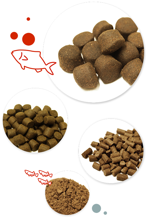 多彩な飼料形態をラインナップ