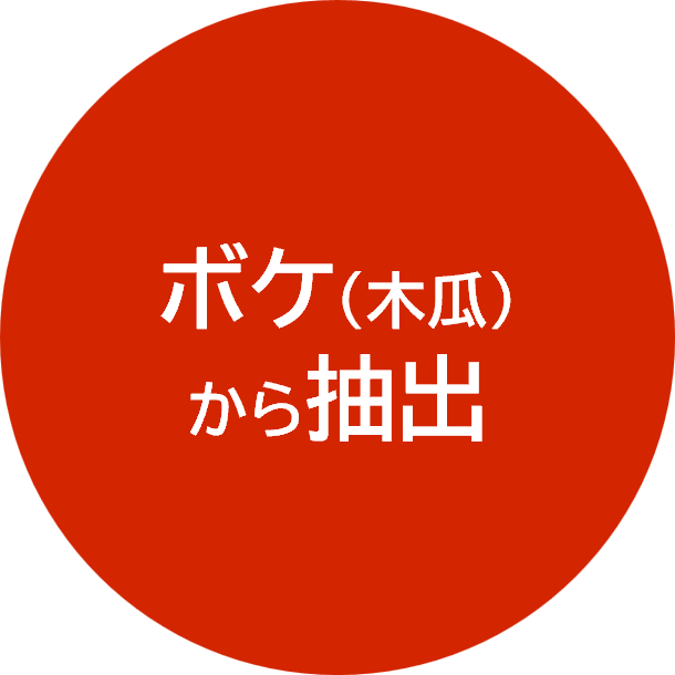 そもそもボケエキスとは?