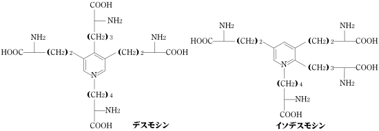 デスモシン イソデスモシン