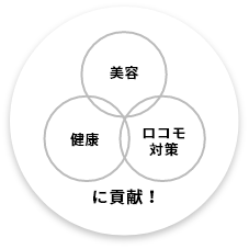 そもそもエラスチンとは?