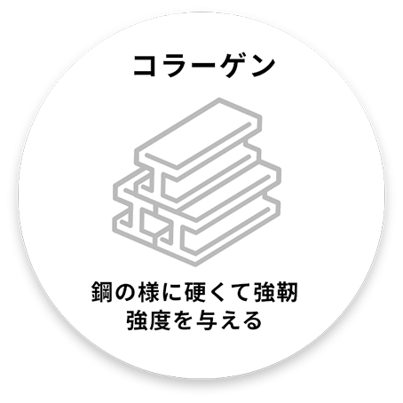 コラーゲンとの違いは?