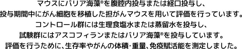 バリア海藻の抗がん作用（マウス）ついて