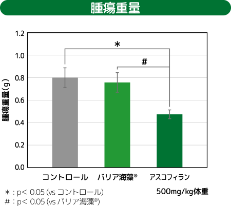 腫瘍重量