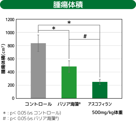 腫瘍体積