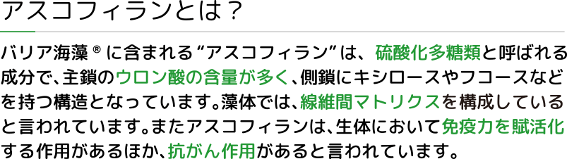 アスコフィランとは