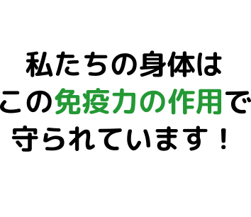 免疫力で守られている