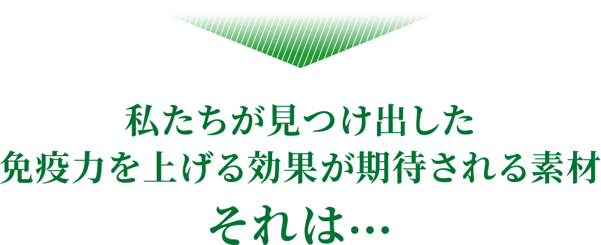 免疫力を上げる効果が期待される素材