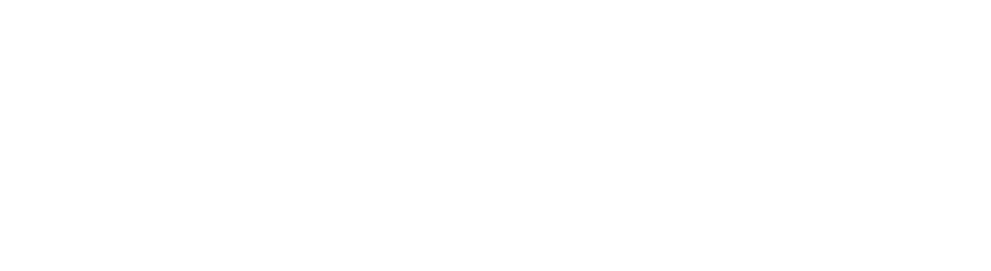 アスコフィラム・ノドサムt流出物「バリア海藻」