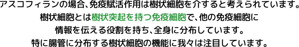 モニター試験について