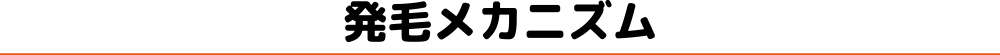 発毛メカニズム