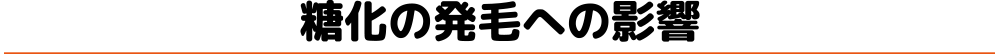 糖化の発毛への影響