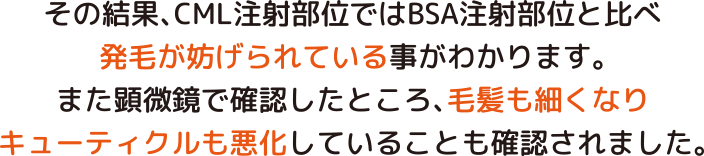 脱毛モデルマウスでの実験結果説明