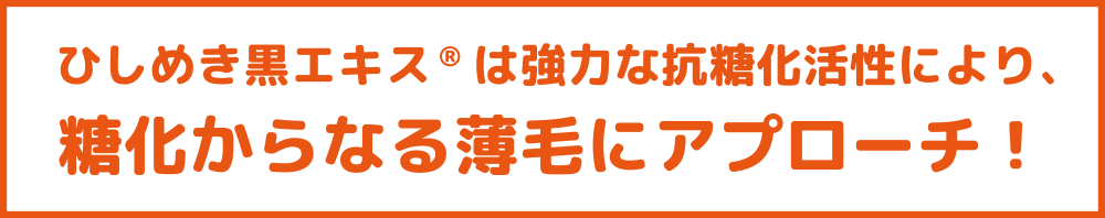 糖化から薄毛にアプローチ