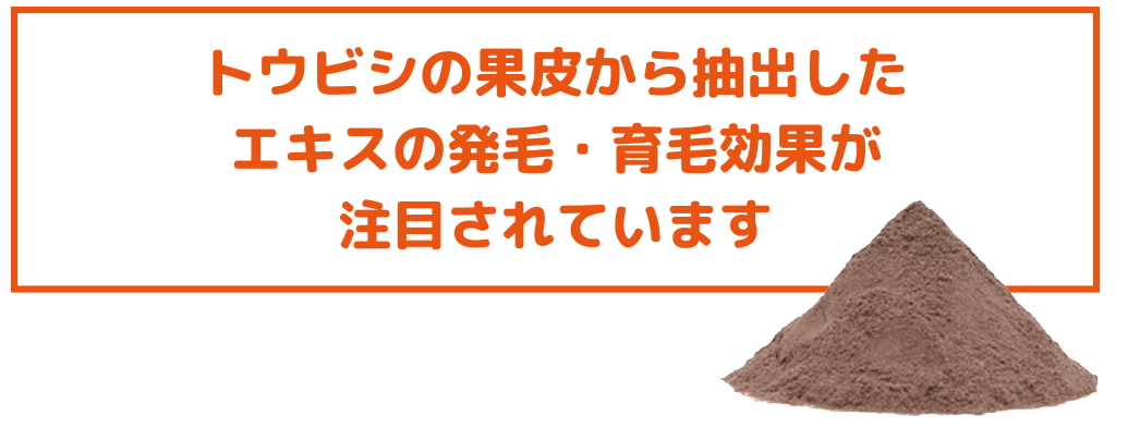 トウビシ果皮か抽出エキスの発毛・育毛効果が注目！