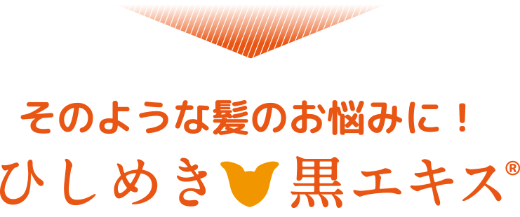 髪のお悩みに「ひしめき黒エキス」