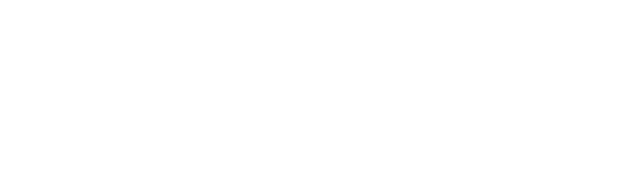 トウビシ果皮抽出ポリフェノール「すっきりポフリフェ®」