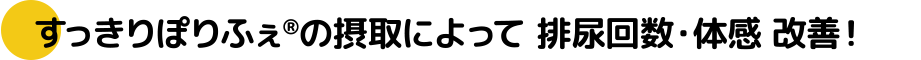 効果：排尿回数・体感の改善