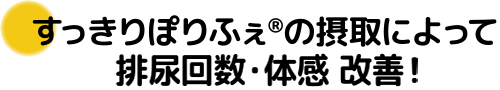 効果：排尿回数・体感の改善