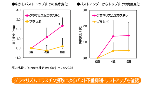 グラマリズムエラスチンのバスト下垂防止効果