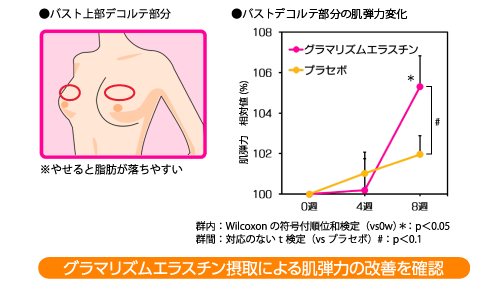 グラマリズムエラスチのバスト弾力改善効果ン